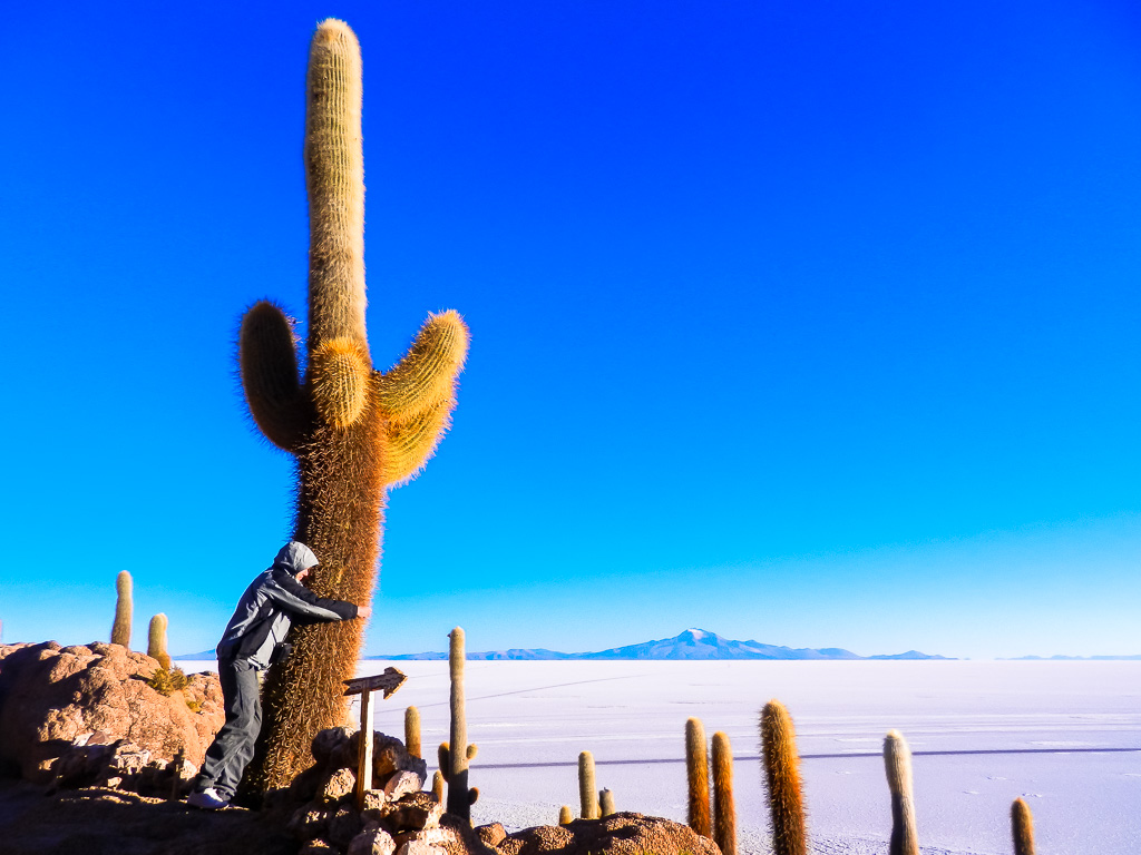 travel to At the Salar De Uyuni, Bolivia