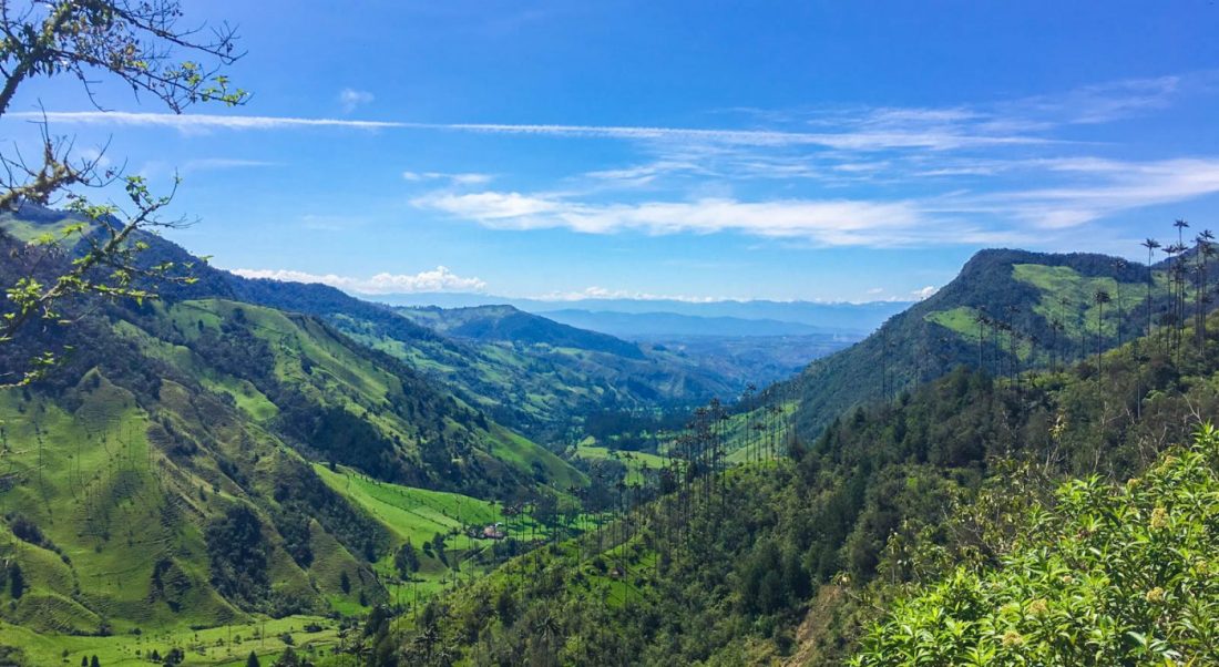 guide to hiking the valle de cocora in salento colombia