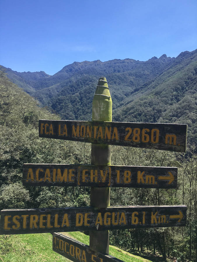 hiking the cocora valley colombia