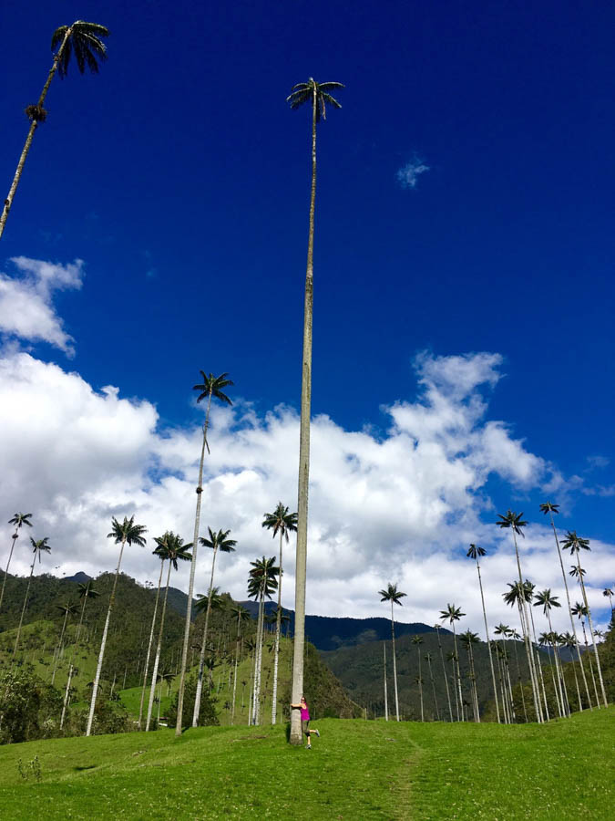 hiking the cocora valley in salento colombia
