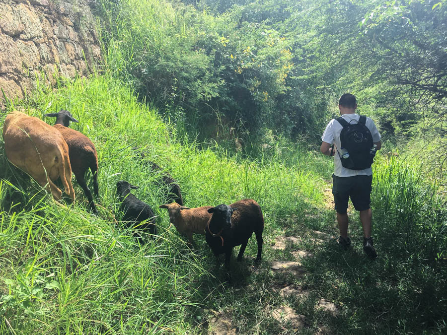 hiking barichara to guane