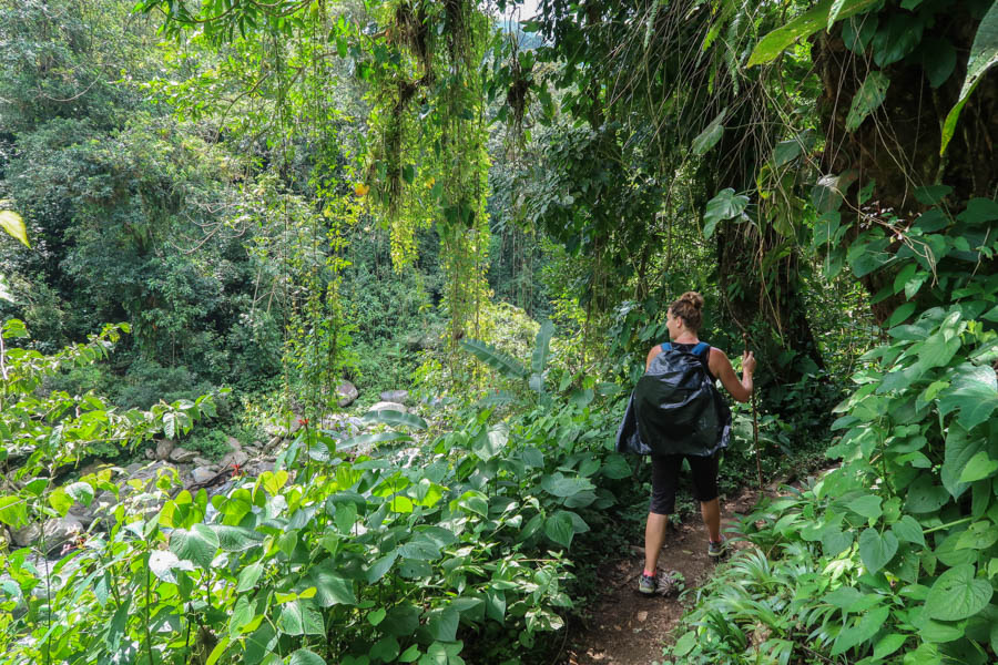 Dariece trekking through the junlge with a backpack on