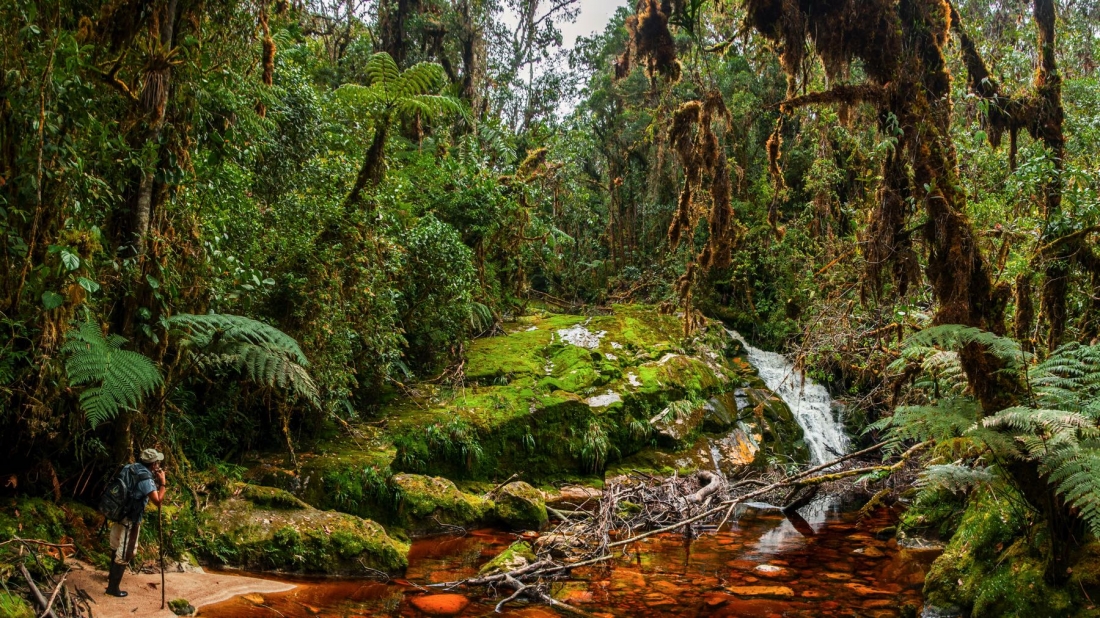 things to do in colombia
