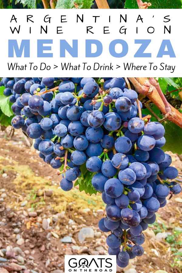 Vineyard with text overlay Argentina'a Wine Region Mendoza 