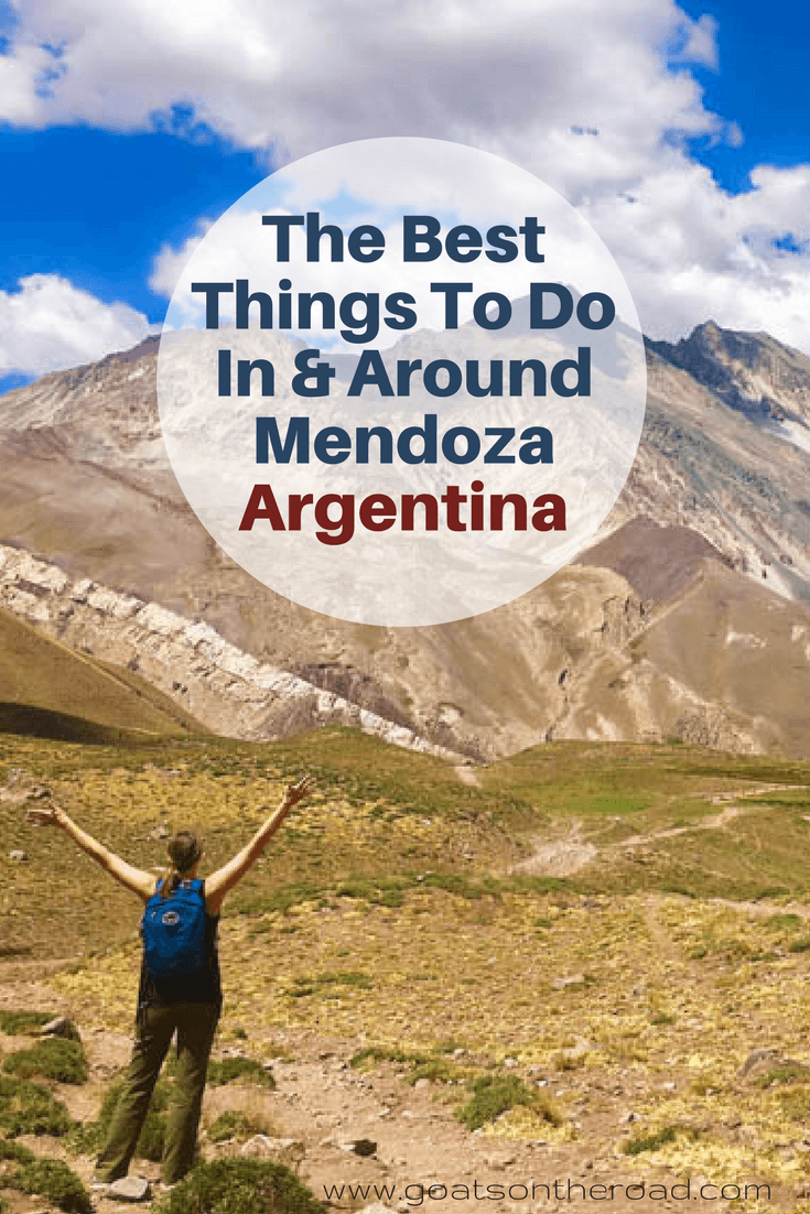 The Best Things To Do In & Around Mendoza, Argentina Goats On The Road