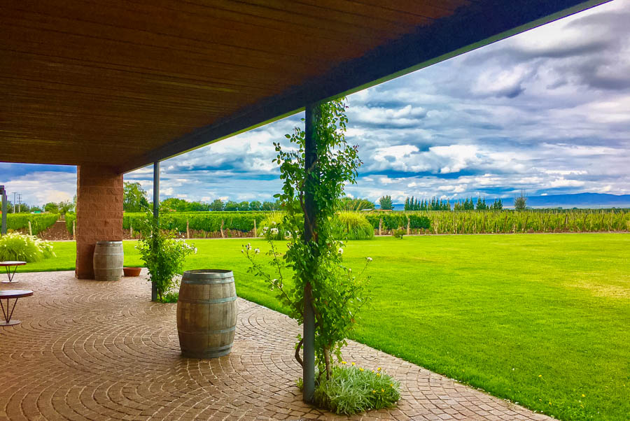 Travel Mendoza Ruca Malen Vineyard