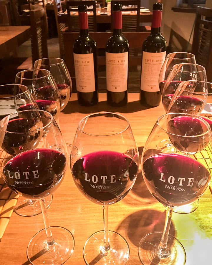 Travel Mendoza Wine Tasting at Norton