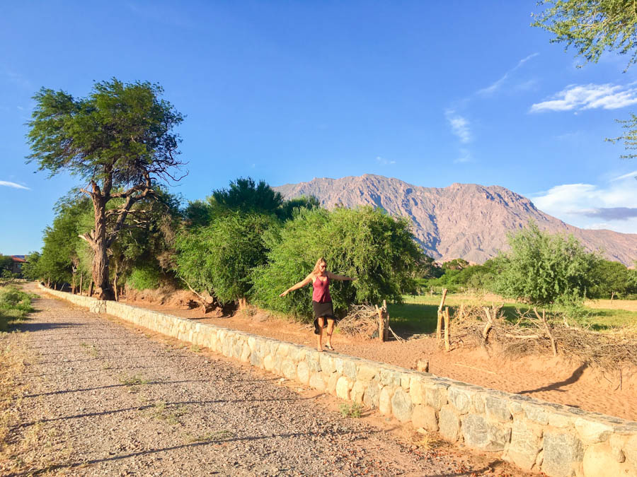 visiting cafayate argentina wine region casa de la bodega