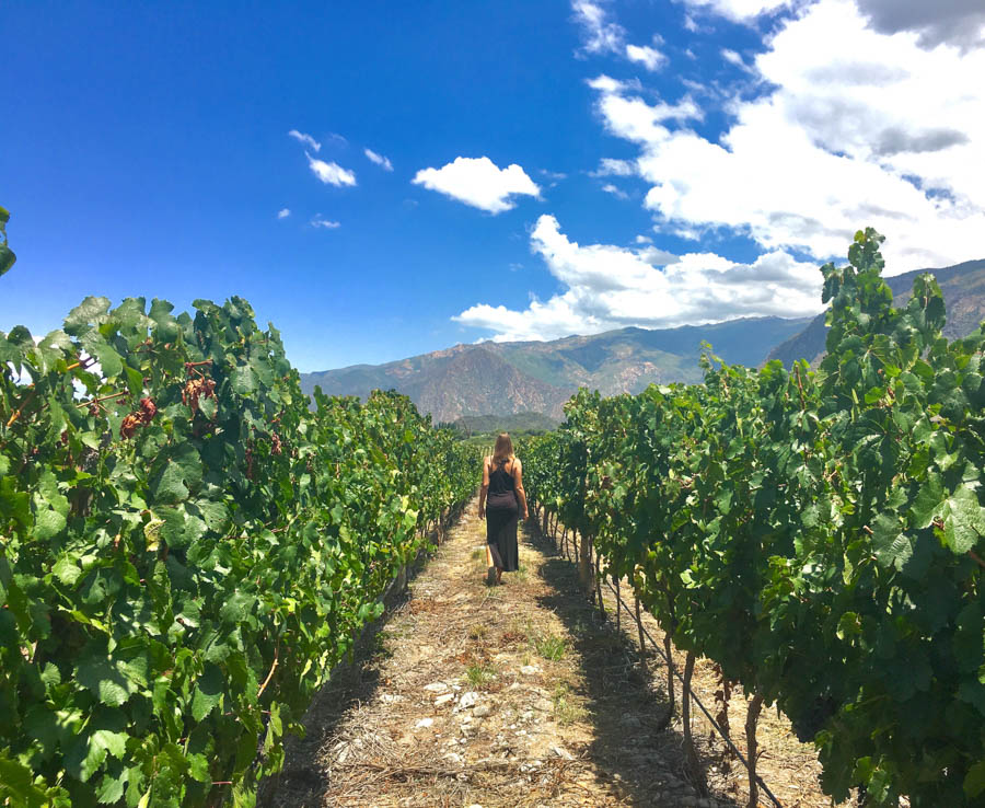 travel to cafayate argentina piattelli vineyard