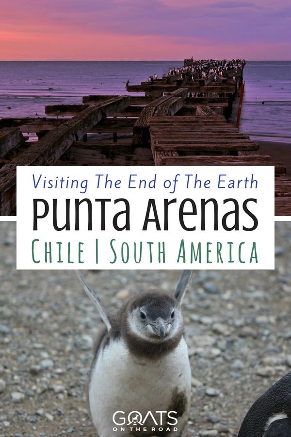 Sunset on pier & baby penguin with text overlay Visiting The End of The Earth Punta Arenas 
