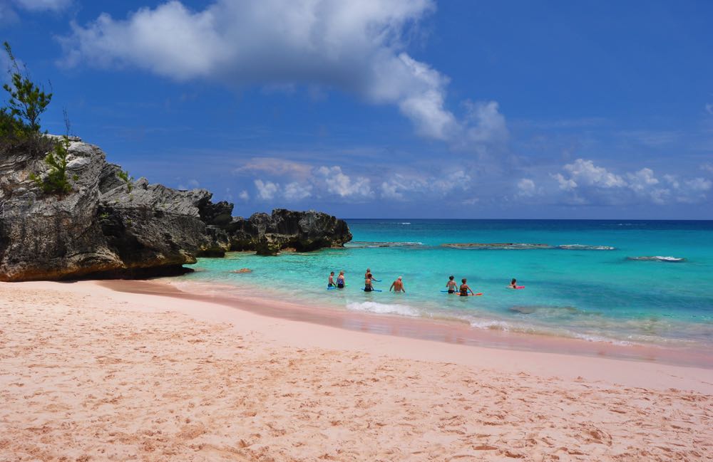 horseshoe bay beach in bermuda