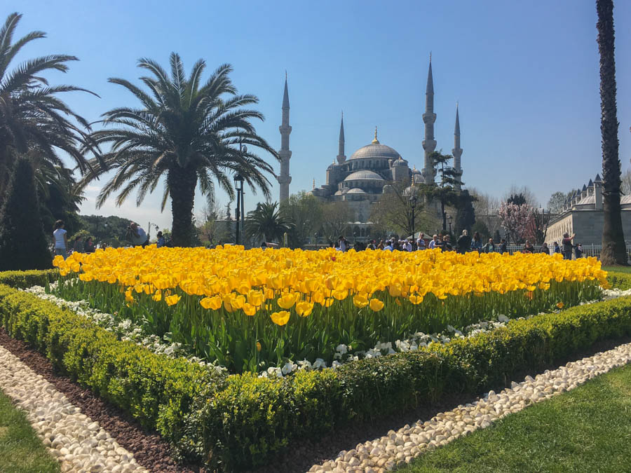 travel to istanbul