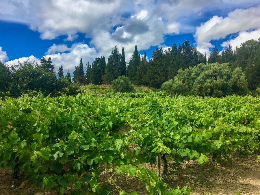 travel to kefalonia greece sklavos winery