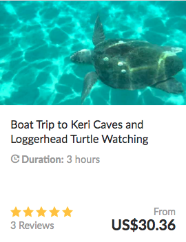 things to do in zakynthos keri caves and turtles