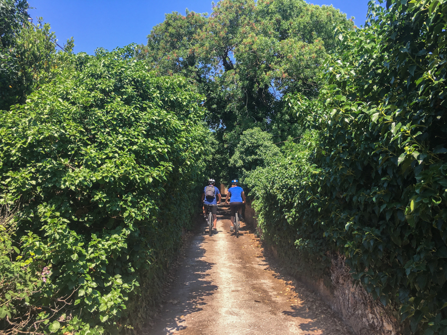 travel to kampos chios greece goat trails mountain biking