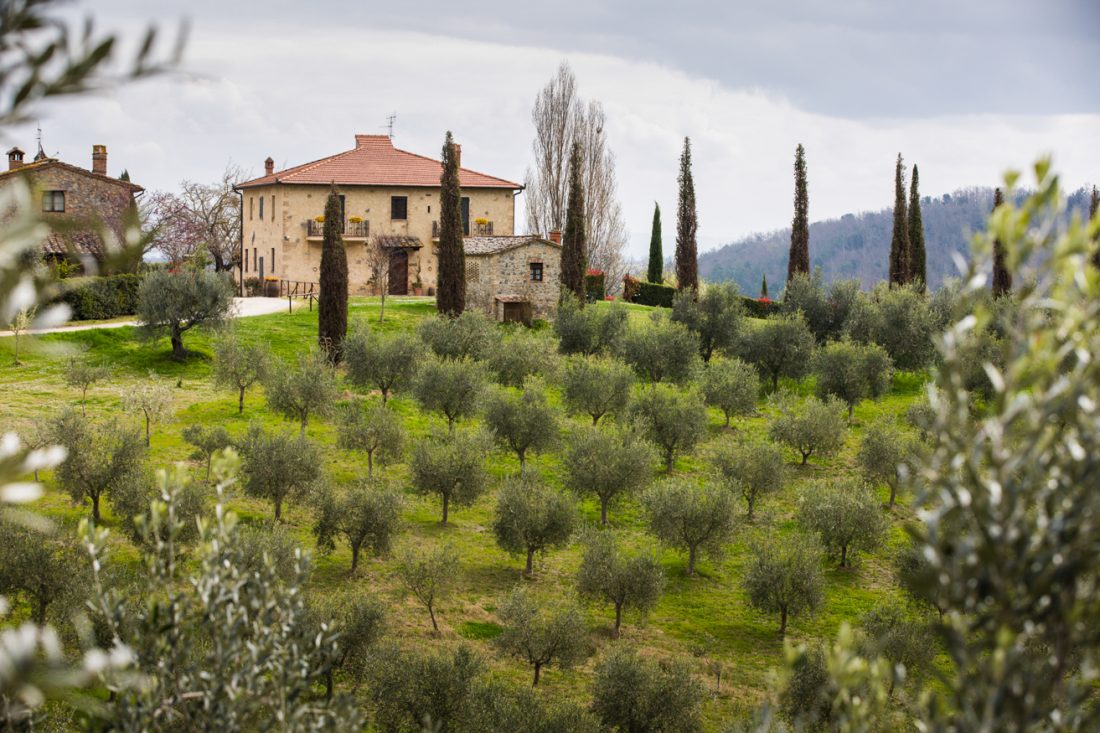 The 13 Best Restaurants in Florence Italy
