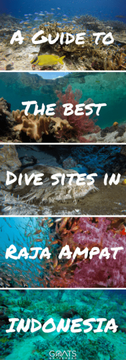 A Guide To The Best Dive Sites in Raja Ampat Indonesia