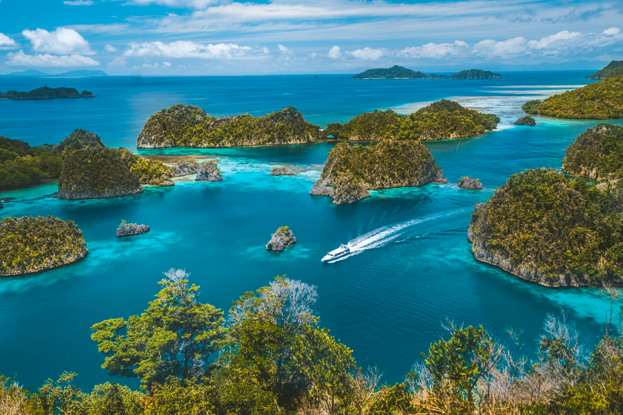 Diving Raja Ampat Piyaynemo Islands