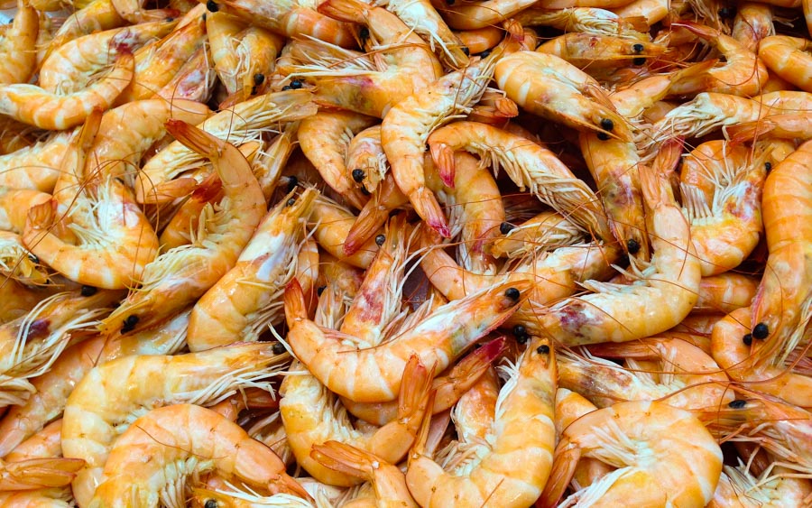 Pangkor Shrimps - De 10 bästa malaysiska öarna