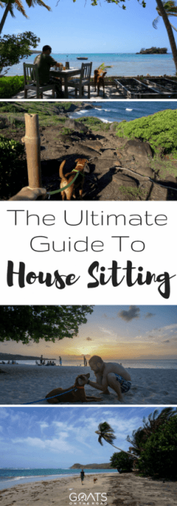 The Ultimate Guide to House Sitting