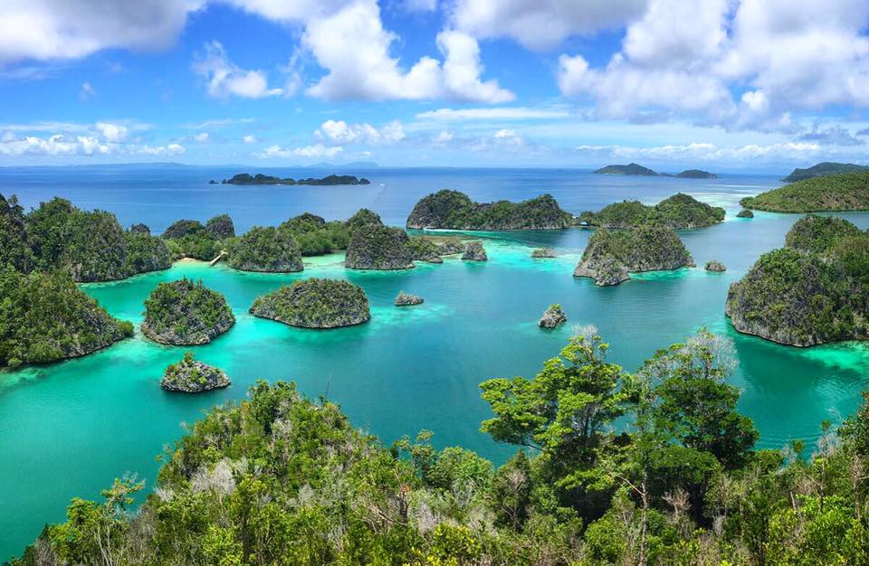 scuba diving raja ampat indonesia piyaynemo