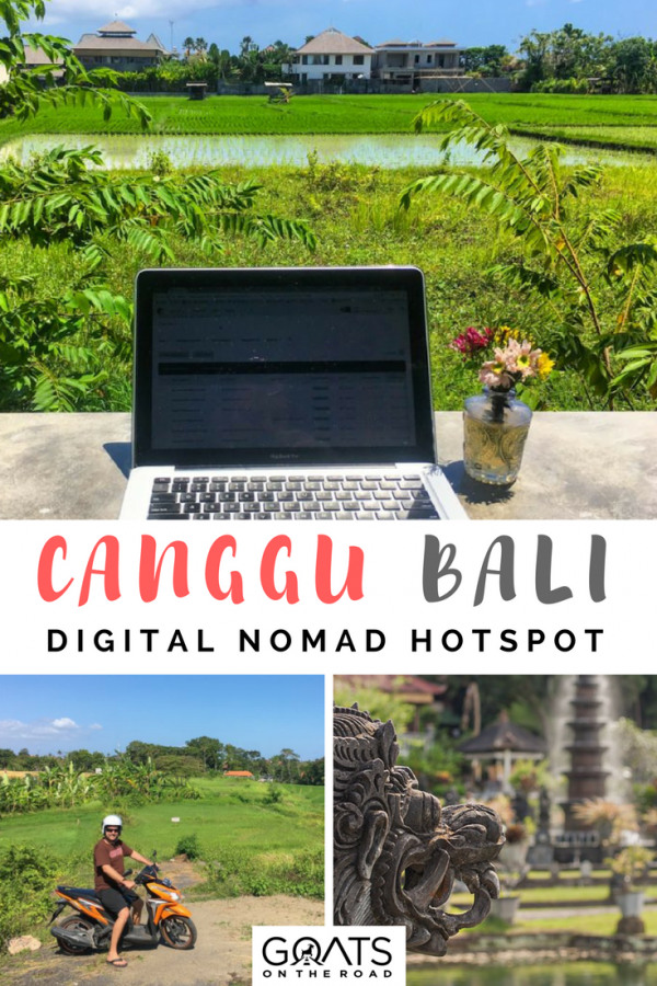 Digital Nomad Life In Canggu Our Time In Bali Goats On The Road