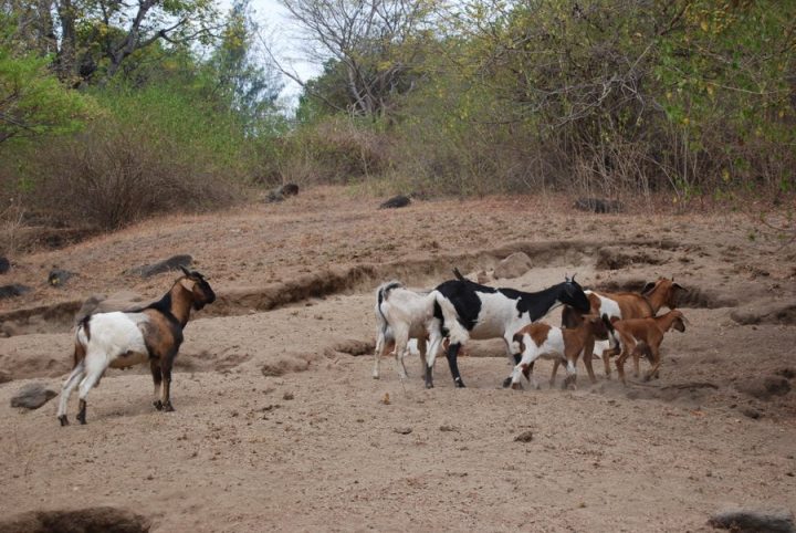Things to Do in Lombok - Hiking