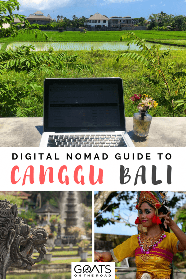 Canggu Bali A Complete Travel Guide Goats On The Road