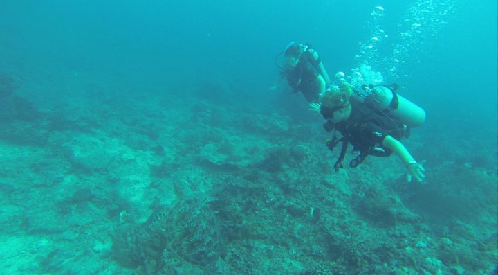 Things to Do in Lombok - Scuba Diving