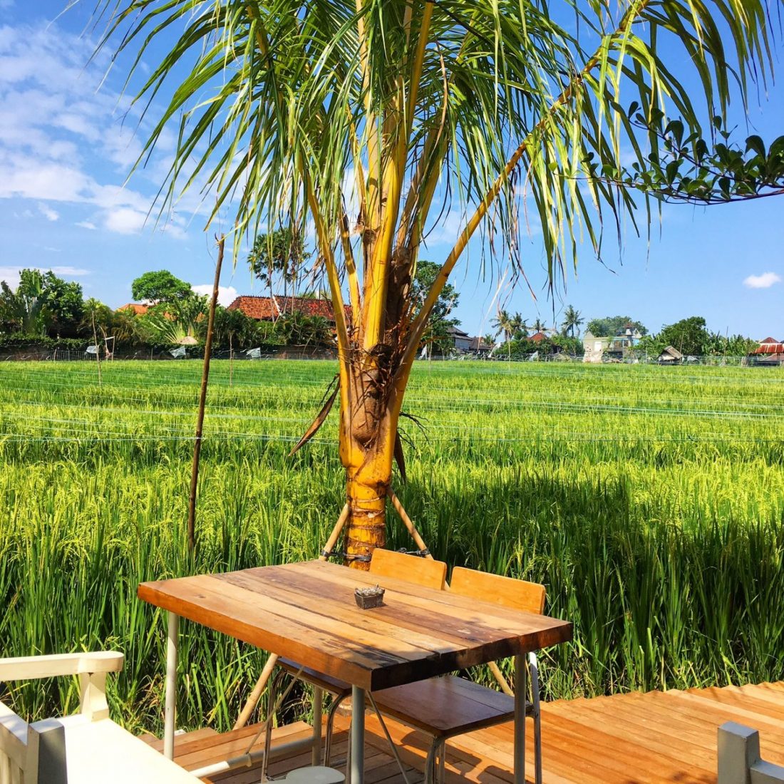 where to eat in canggu bali try milu by nook