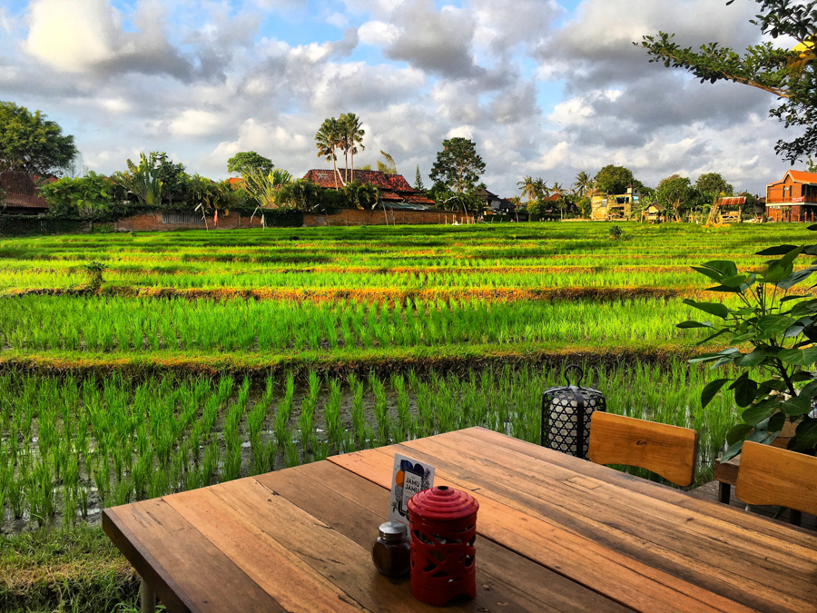 milu by nook lunch views in canggu bali