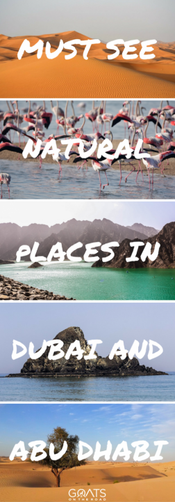 6 Must-See Natural Attractions in Dubai & Abu Dhabi-4