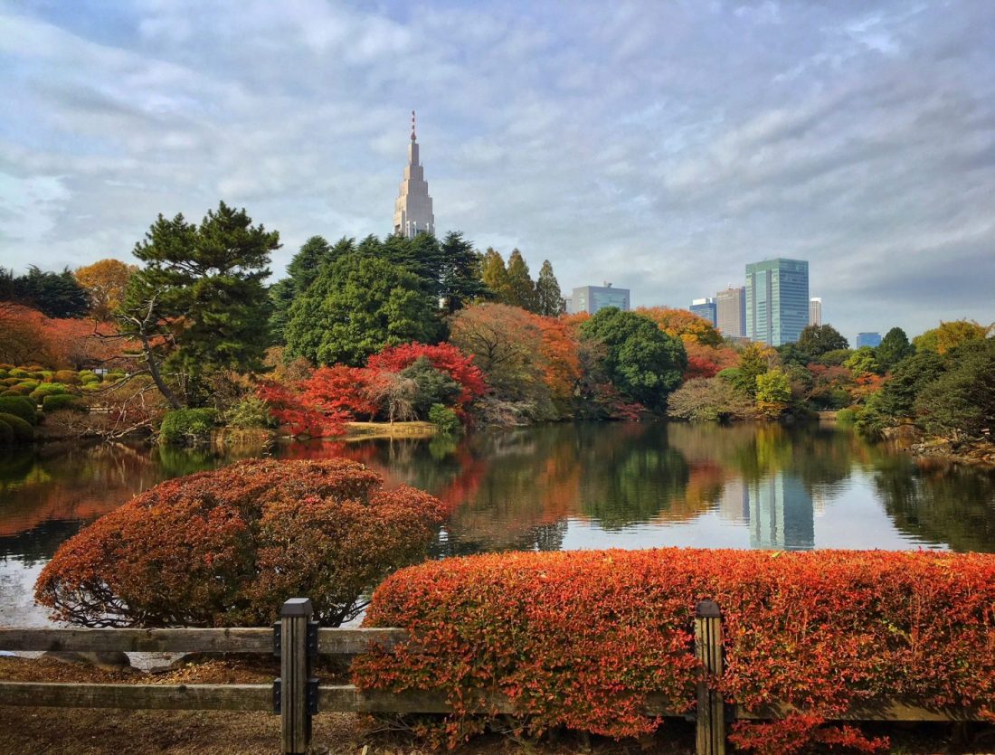 wondering what to do in tokyo? visit the gardens in autumn and cherry blossom season