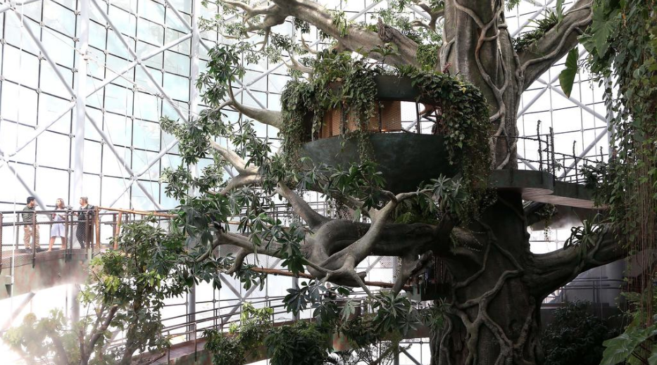 Natural Green Planet, Dubai travel