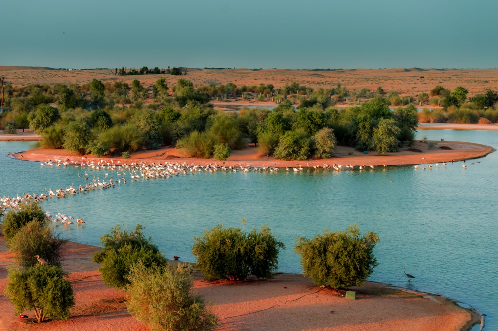 Al Qudra Lakes, natural attractions in UAE