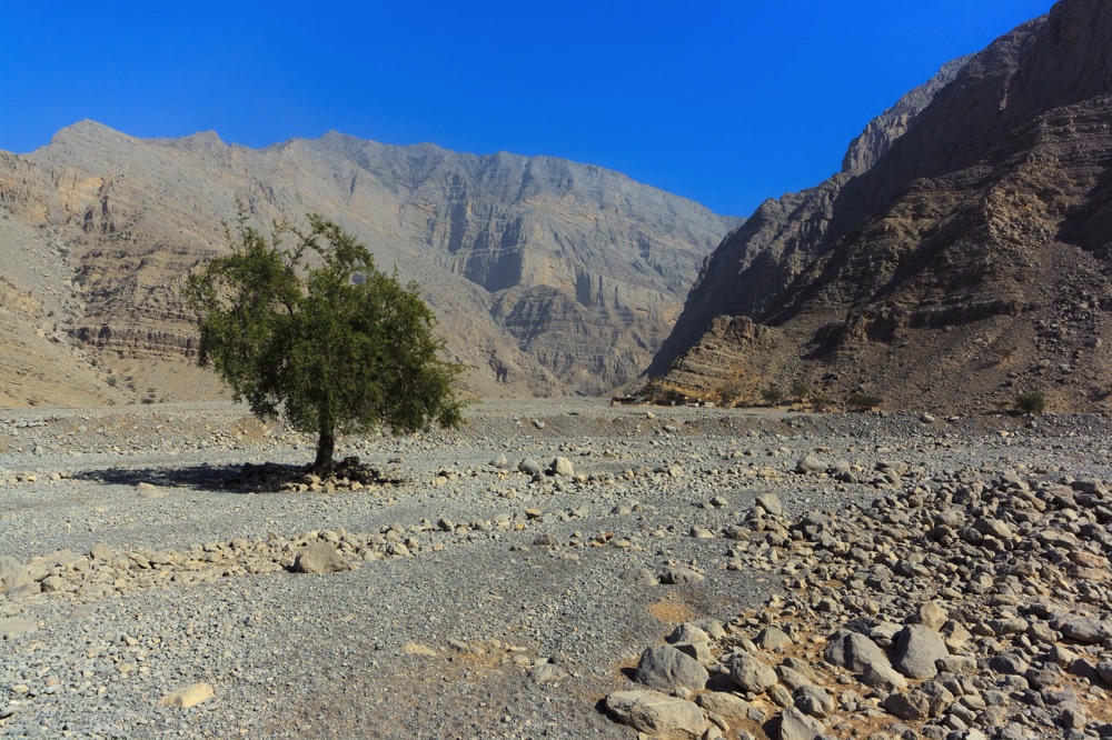 Wadi Ghalilah is one of the best natural areas in Dubai