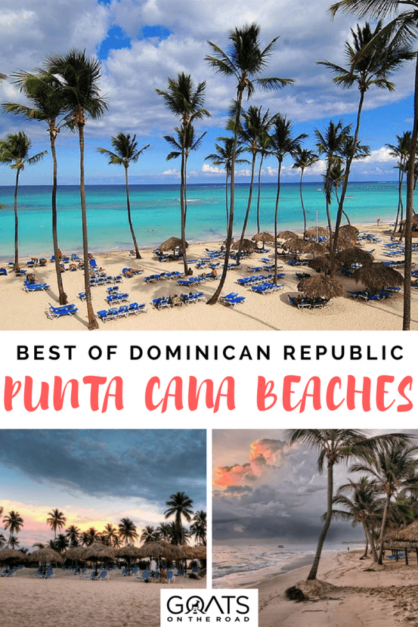 palm trees next to a beautiful beach with text overlay the 5 best beaches in punta cana