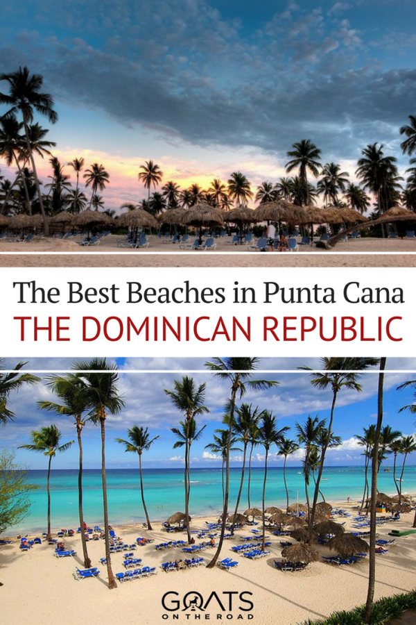 palm trees on the beach with text overlay the best beaches in punta cana
