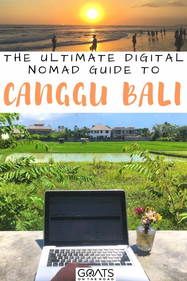 Canggu Bali A Complete Travel Guide Goats On The Road