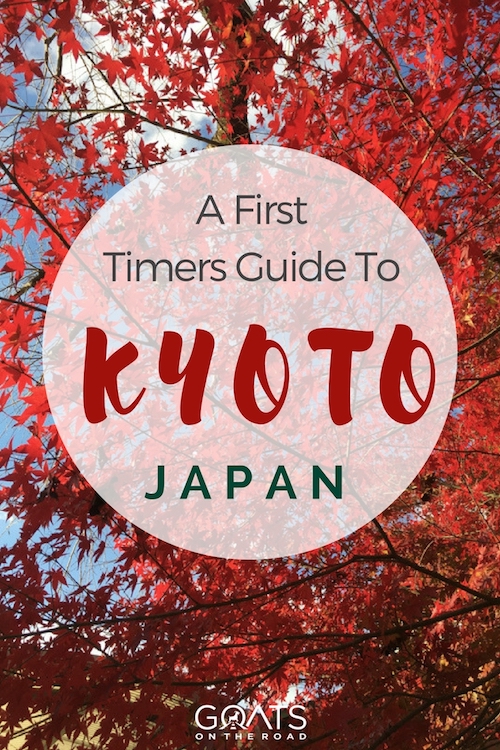 Autumn leaves in Japan with text overlay a first timers guide to Kyoto Japan