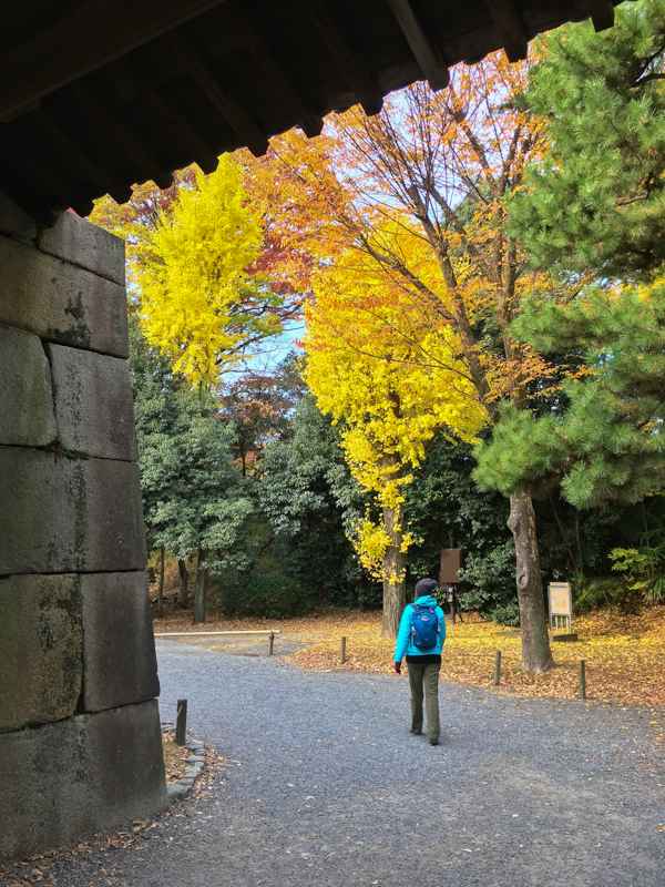 walking around the nijo castle is one of the best things to do in kyoto