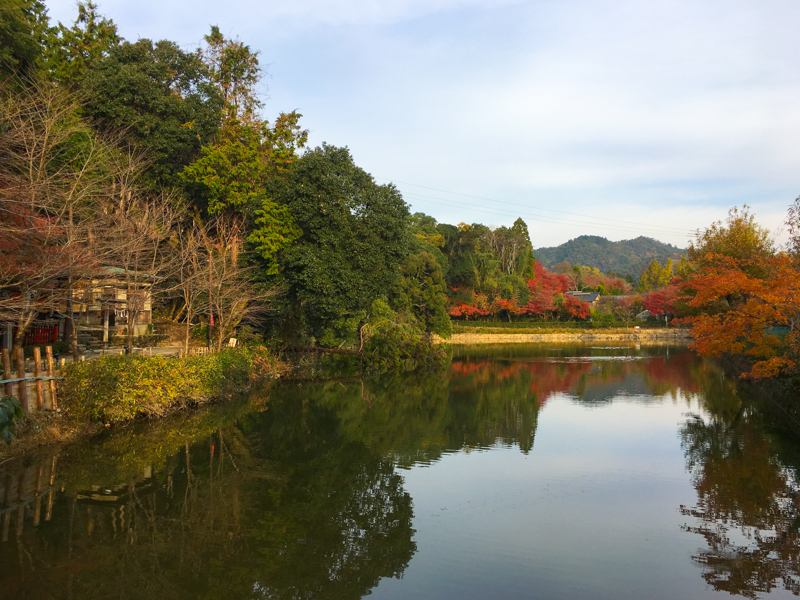 what to see in kyoto areas around the bamboo forest