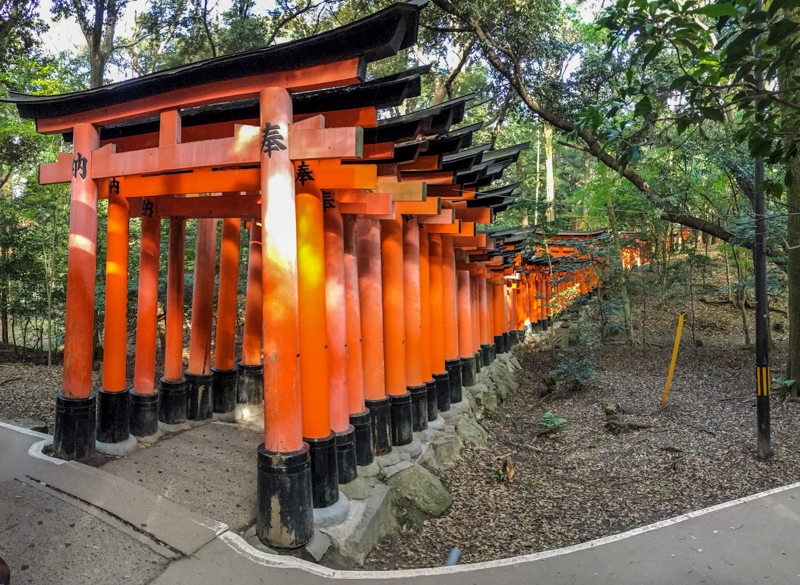 what to see in kyoto the fushimi inari tori gates