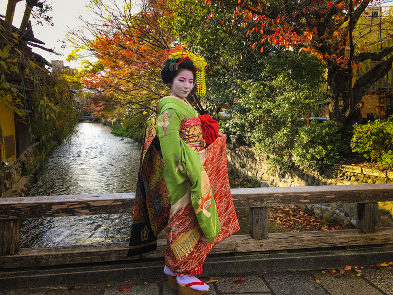 authentic maiko in kyoto japan