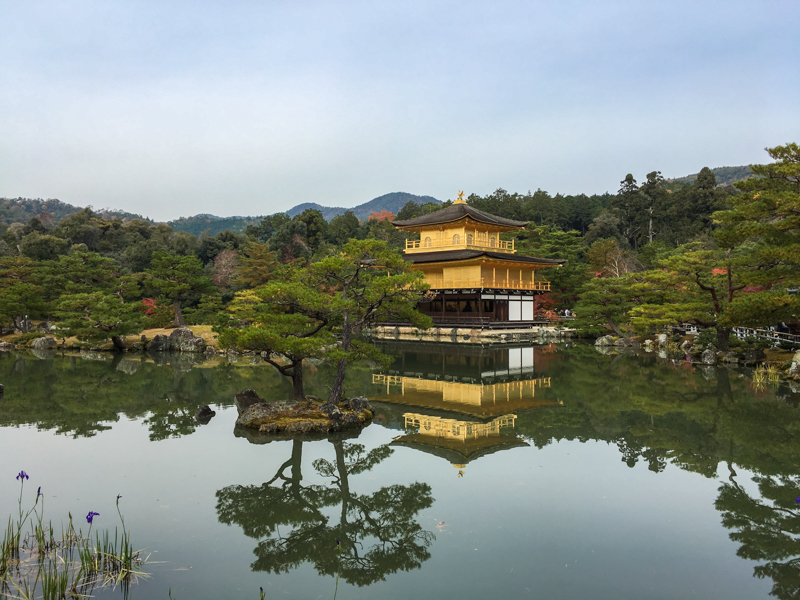 things to do in kyoto the golden pavillion is a popular site