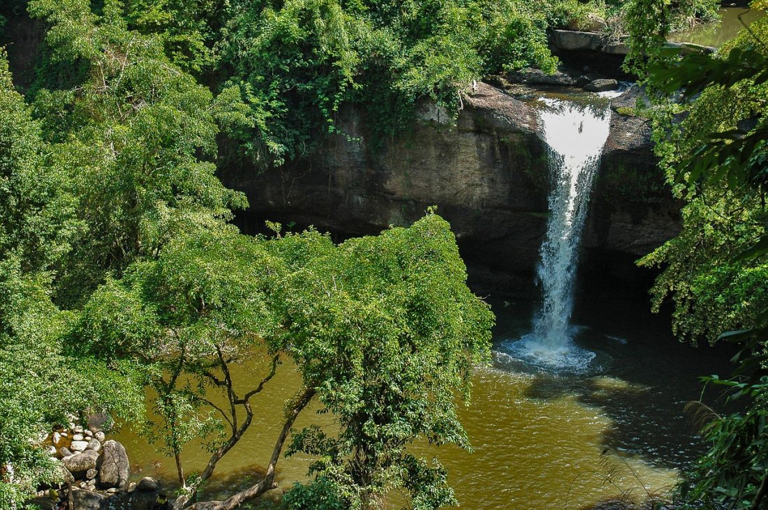 khao yai national park one of the best places to see in thailand