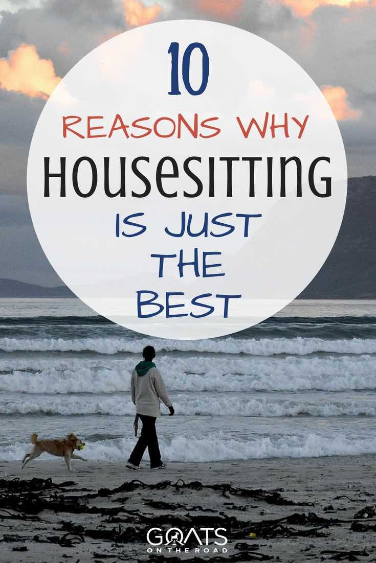 Woman walking dog on beach with text overlay 10 Reasons Why Housesitting Is Just The Best
