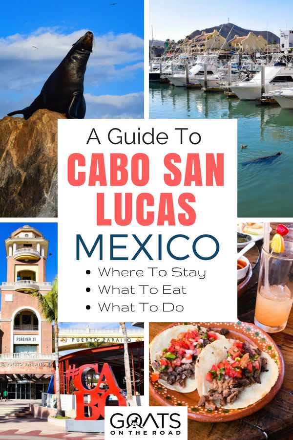 Looking for some inspiration for your next vacation? Great for both romantic getaways and adventure junkies, here's our guide to Cabo San Lucas including the best things to do & the best places to stay. If you want an adventure, you can swim with whale sharks, or go scuba diving in the ocean, or want a relaxing vacation, hit one of the many beautiful beaches or go on a sunset cruise. We’ve got 21 great things to do in this Mexico destination! | #visitmexico #cabosanlucas #mexicotravelguide Popular attractions in Mexico with text overlay A Guide To Cabo San Lucas