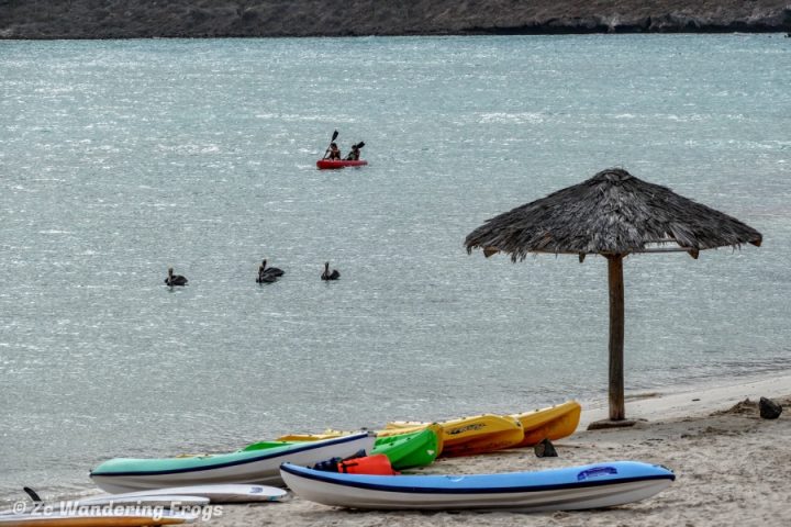 Kayaking in Balandra Beach, things to do in La Paz, Mexico