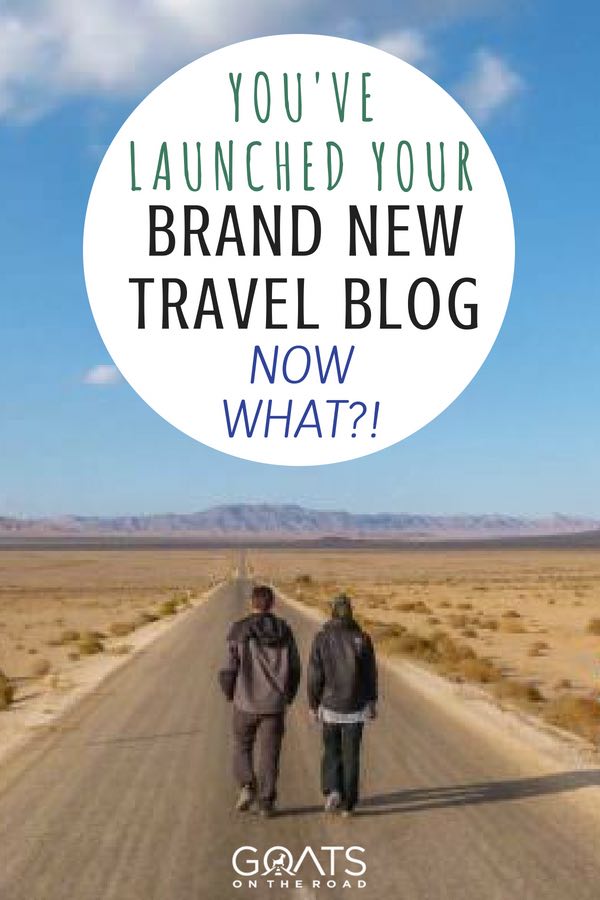 Goats on the road with text overlay You've Launched Your Brand New Travel Blog Now What?!